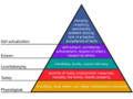 Maslow's Hierarchy of Needs.svg